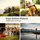 800W Power Inverter 12VDC or 24VDC to 120VAC Pure Sine Wave Inverter WRBP800W